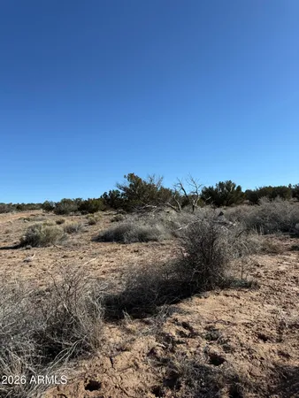 $39,999 | 1 N6549, Unit 794, St. Johns, AZ 85936