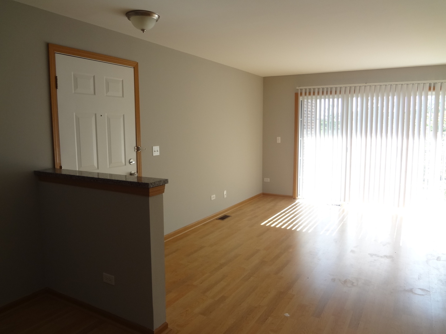 710 Mill Circle, Unit 203 Wheeling, IL 60090 - Photo 2 of 19