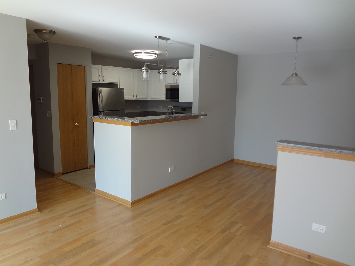 710 Mill Circle, Unit 203 Wheeling, IL 60090 - Photo 4 of 19