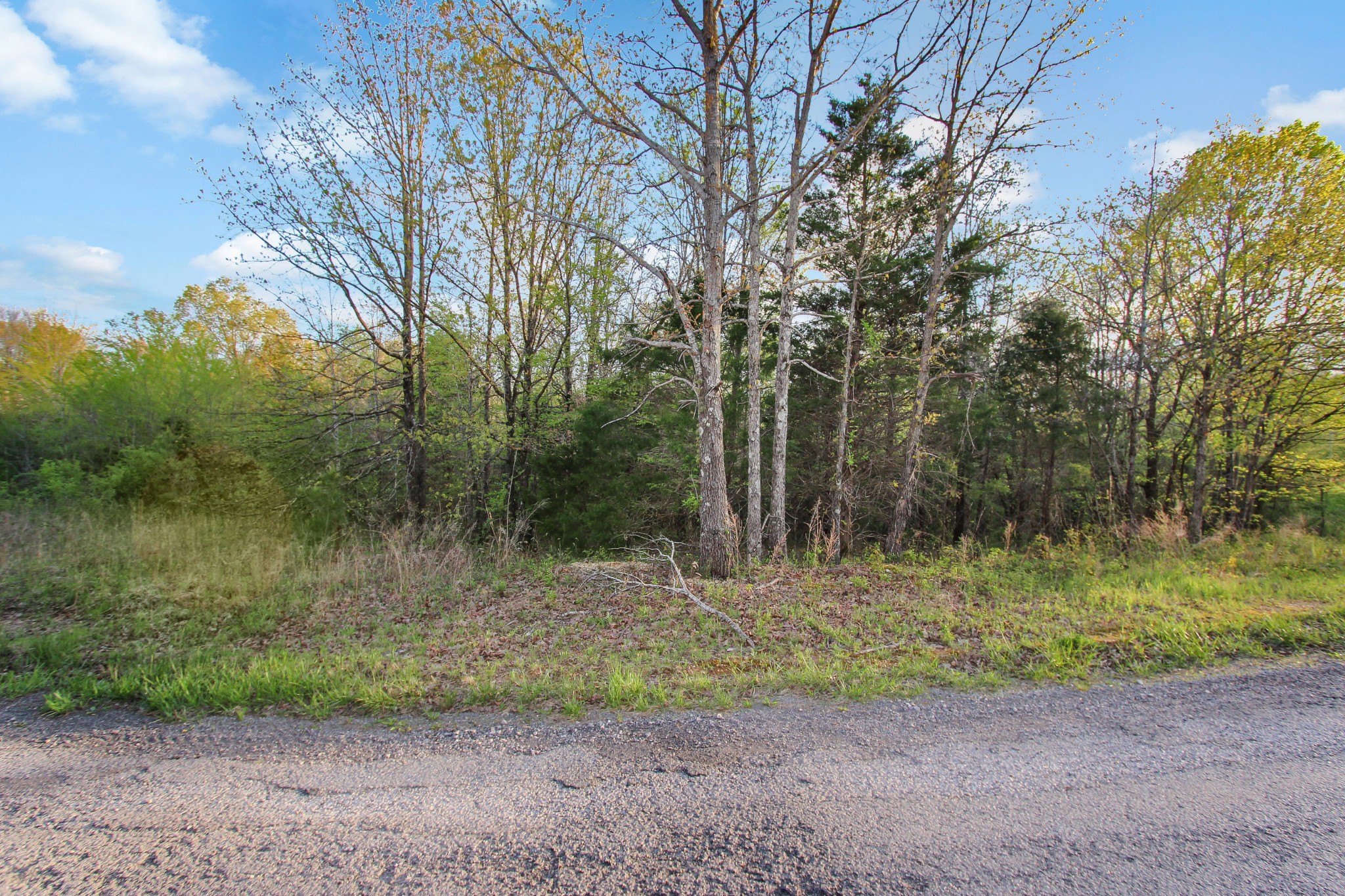 0 Walker Ridge Road Big Rock, TN 37023 - Photo 2 of 12 Gallery Image 2