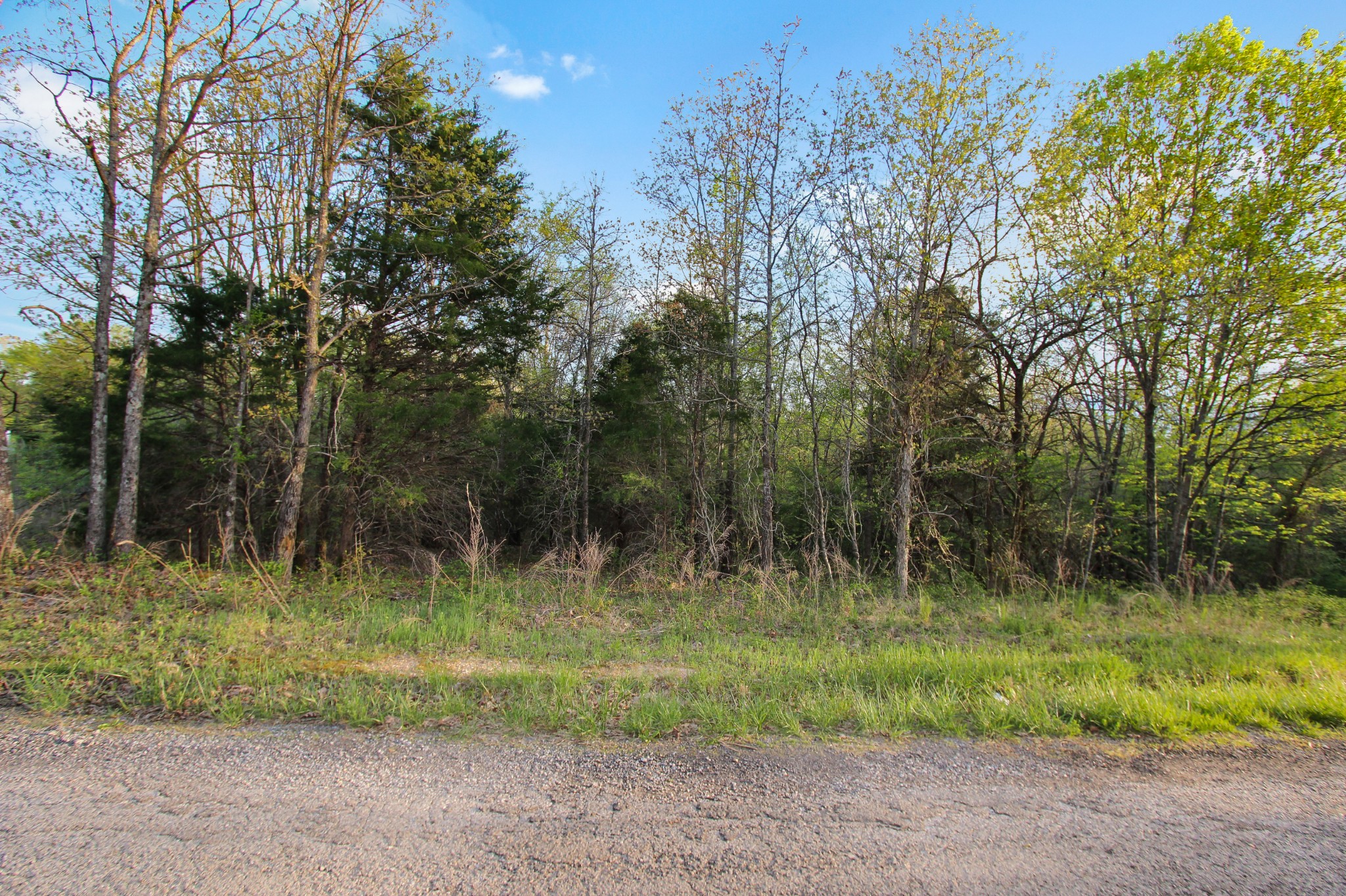 0 Walker Ridge Road Big Rock, TN 37023 - Photo 3 of 12 Gallery Image 3