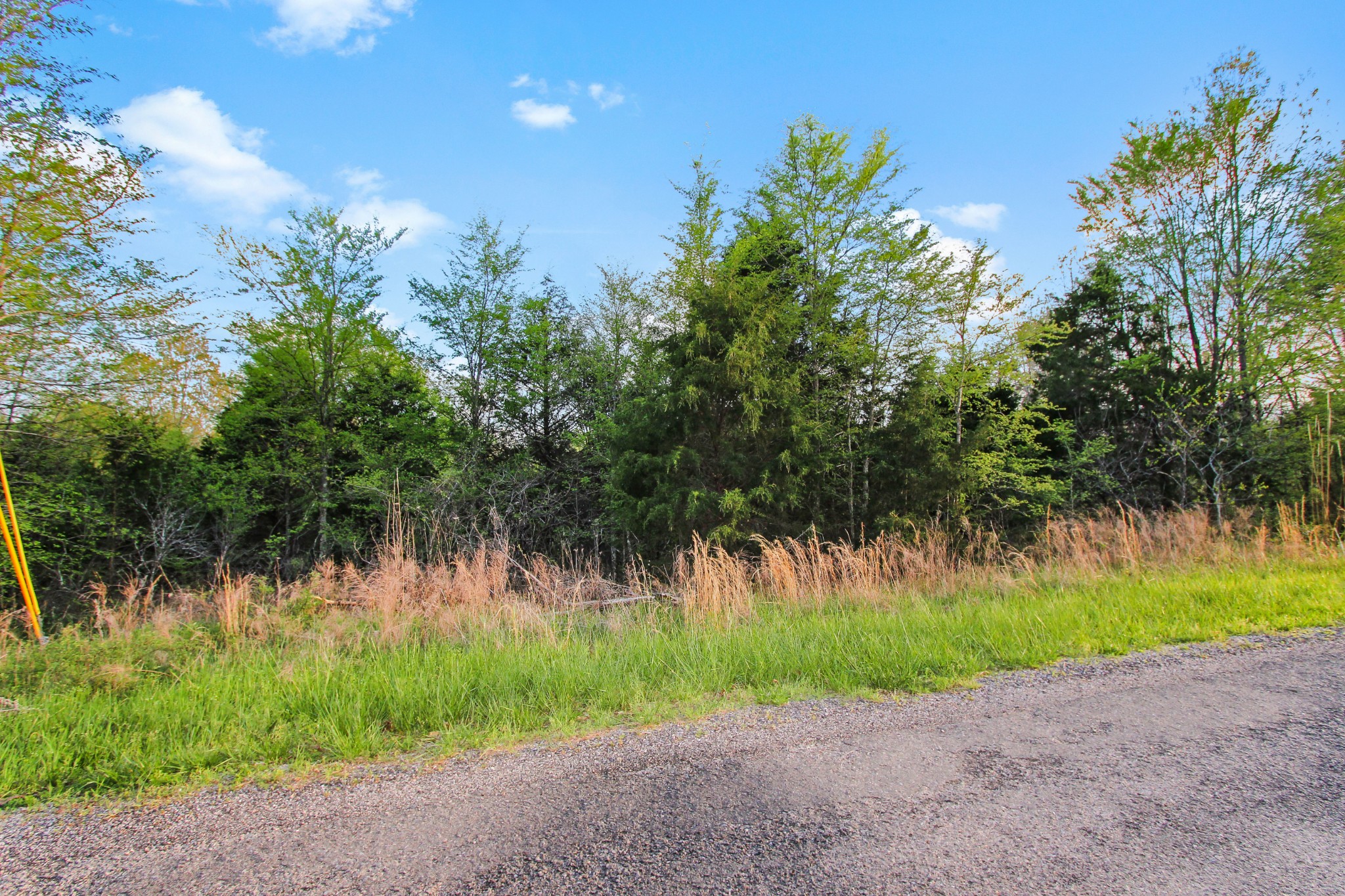 0 Walker Ridge Road Big Rock, TN 37023 - Photo 4 of 12 Gallery Image 4
