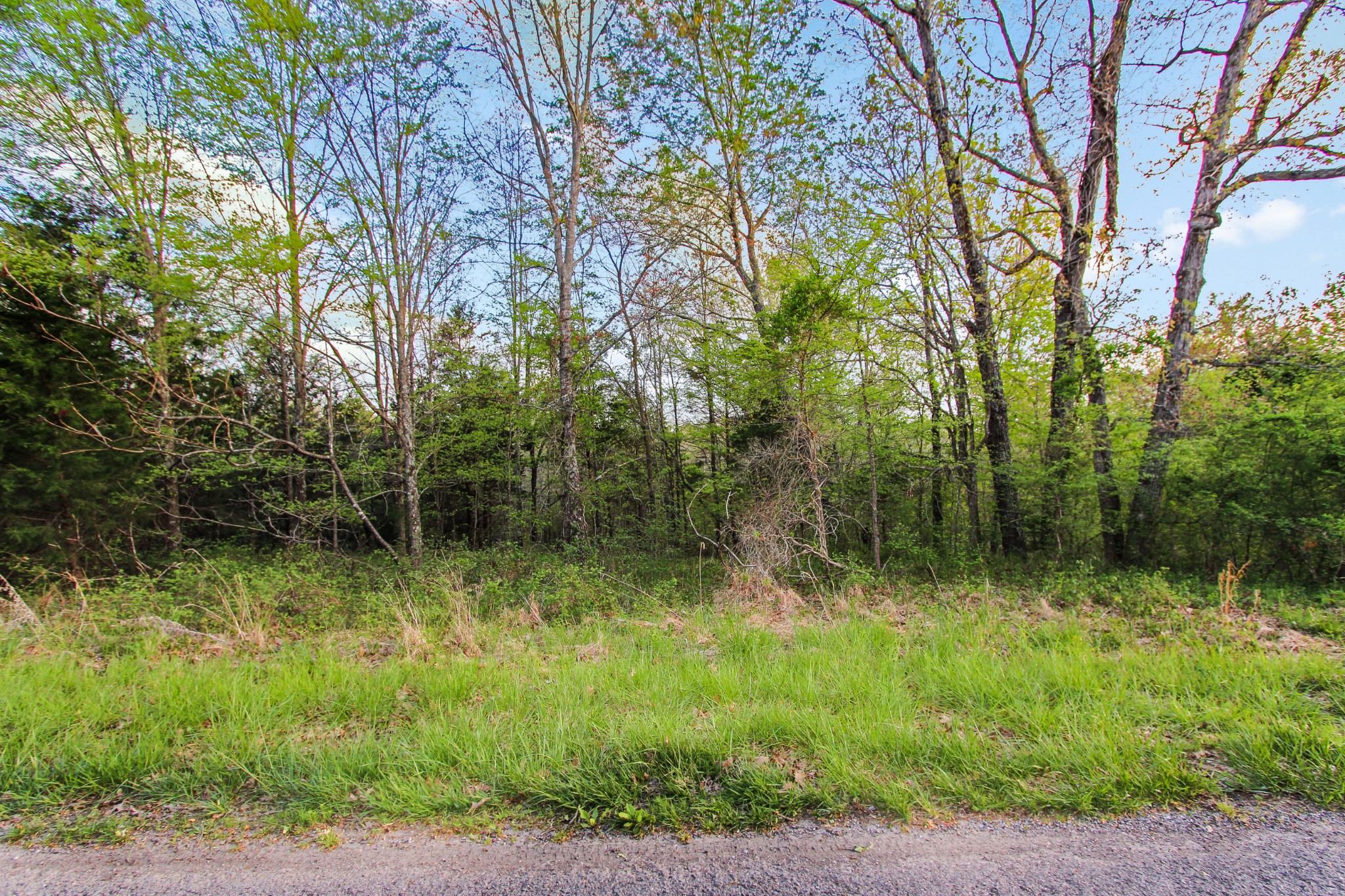 0 Walker Ridge Road Big Rock, TN 37023 - Photo 5 of 12 Gallery Image 5