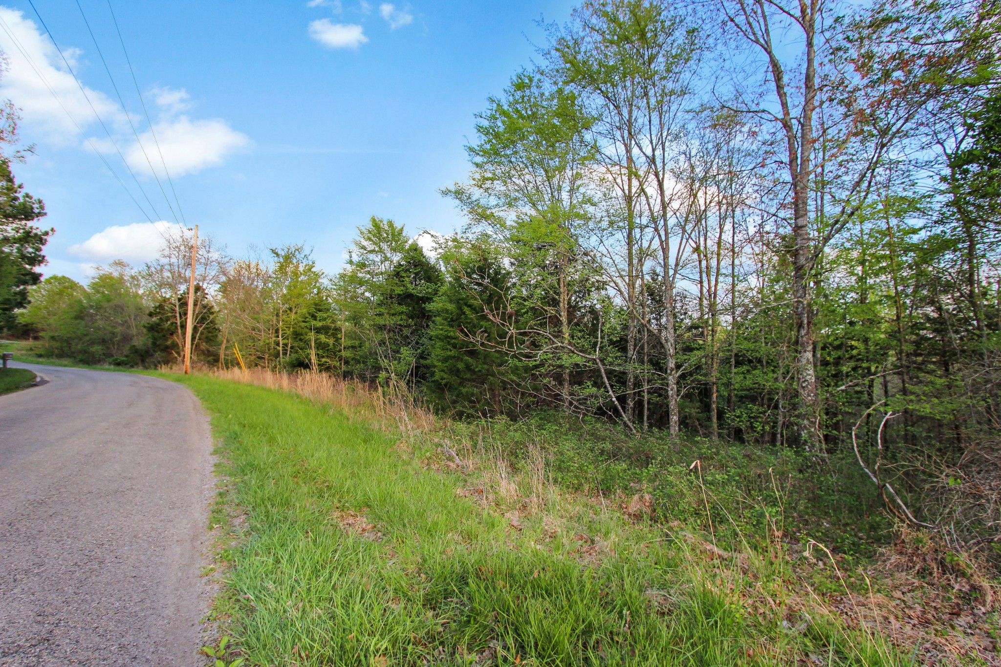 0 Walker Ridge Road Big Rock, TN 37023 - Photo 6 of 12 Gallery Image 6