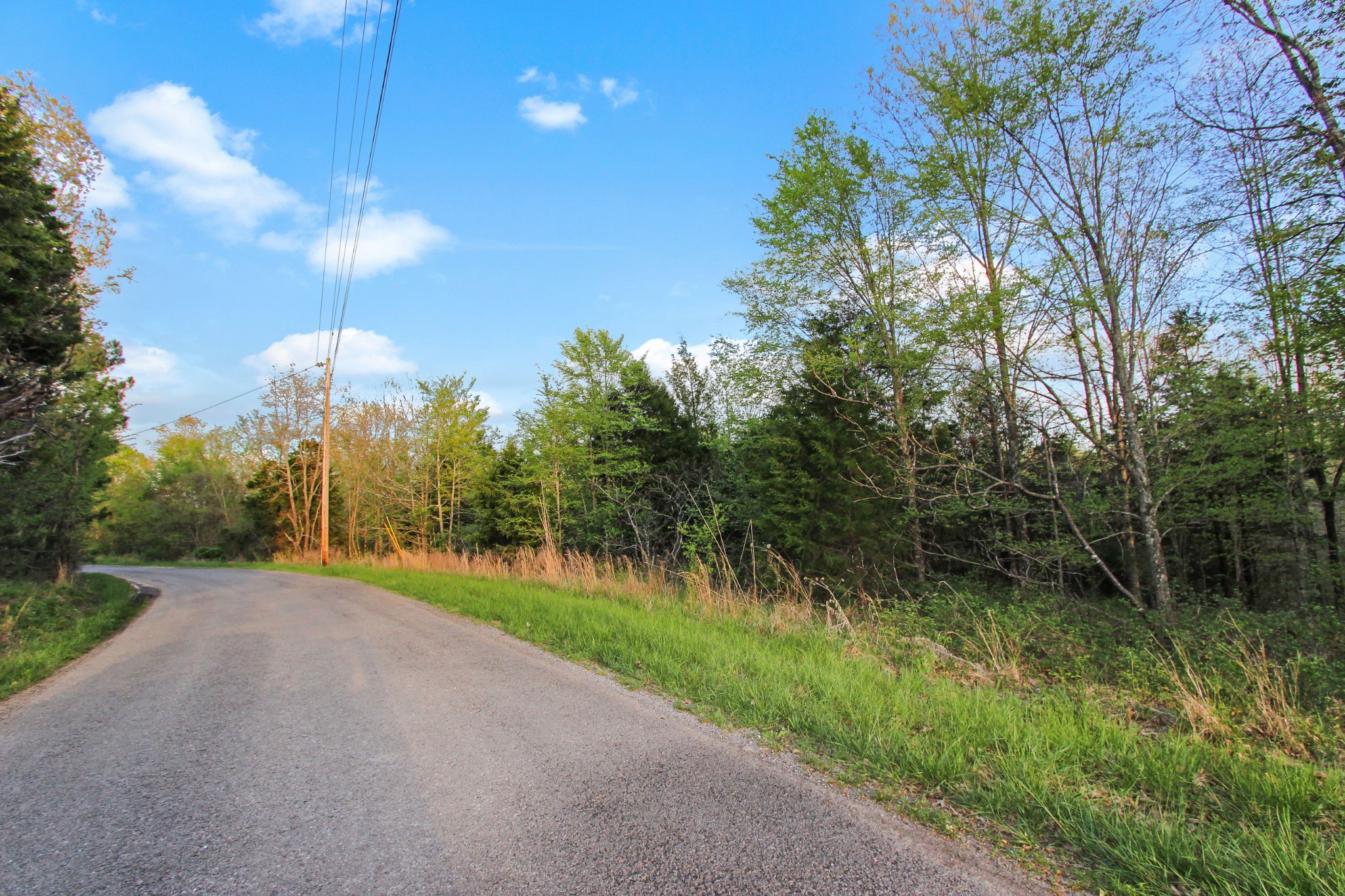 0 Walker Ridge Road Big Rock, TN 37023 - Photo 7 of 12 Gallery Image 7