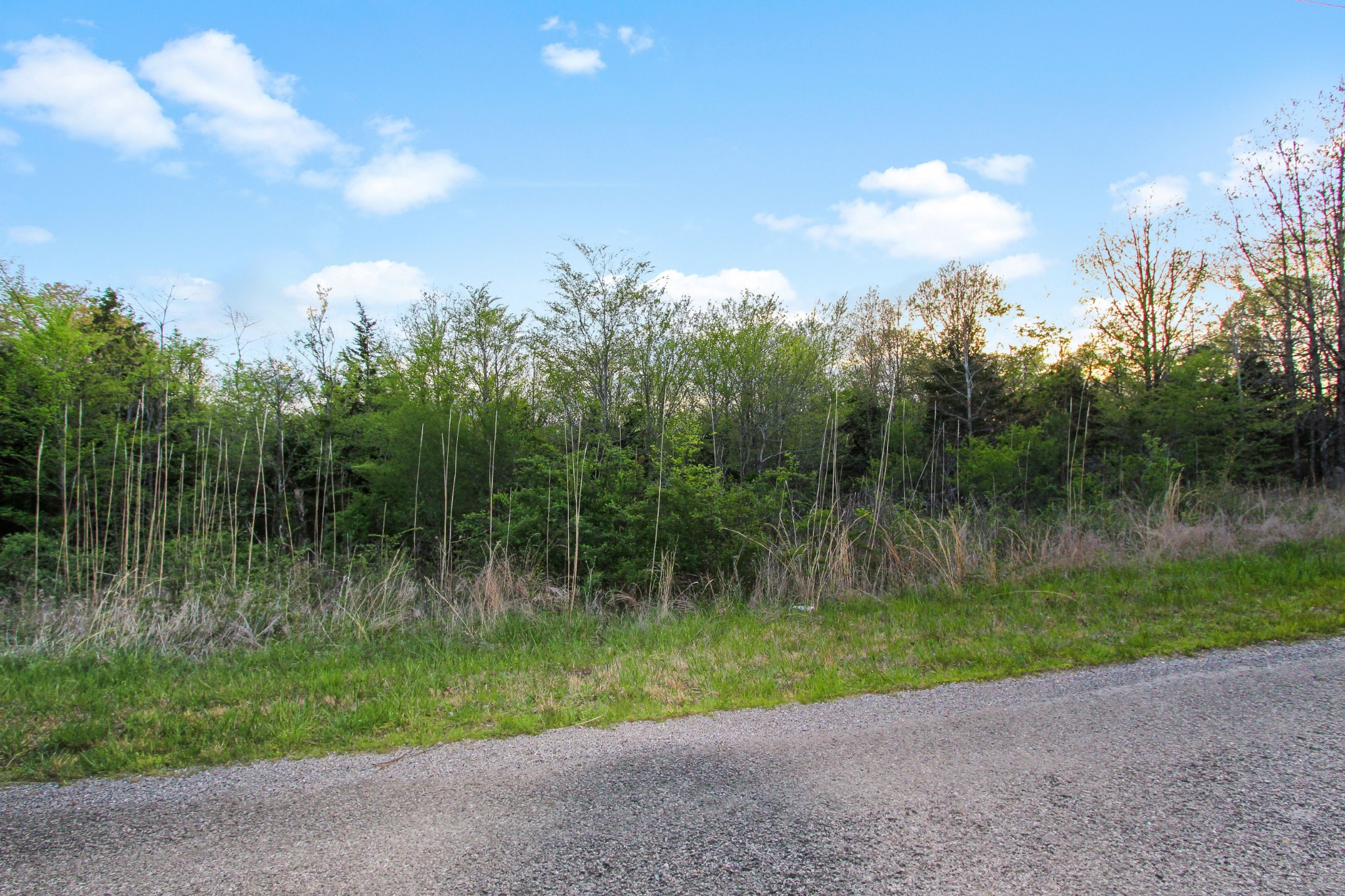 0 Walker Ridge Road Big Rock, TN 37023 - Photo 8 of 12 Gallery Image 8