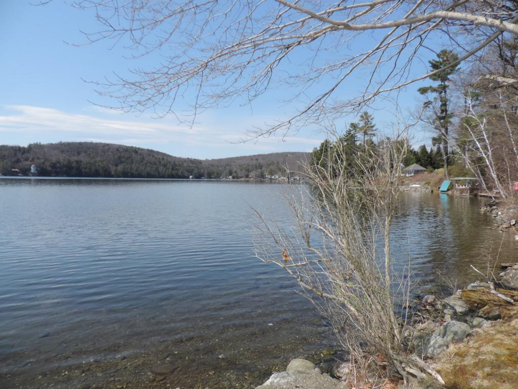 261 Cold Spring Lane Poultney, VT 05774 - Photo 3 of 14 Gallery Image 3