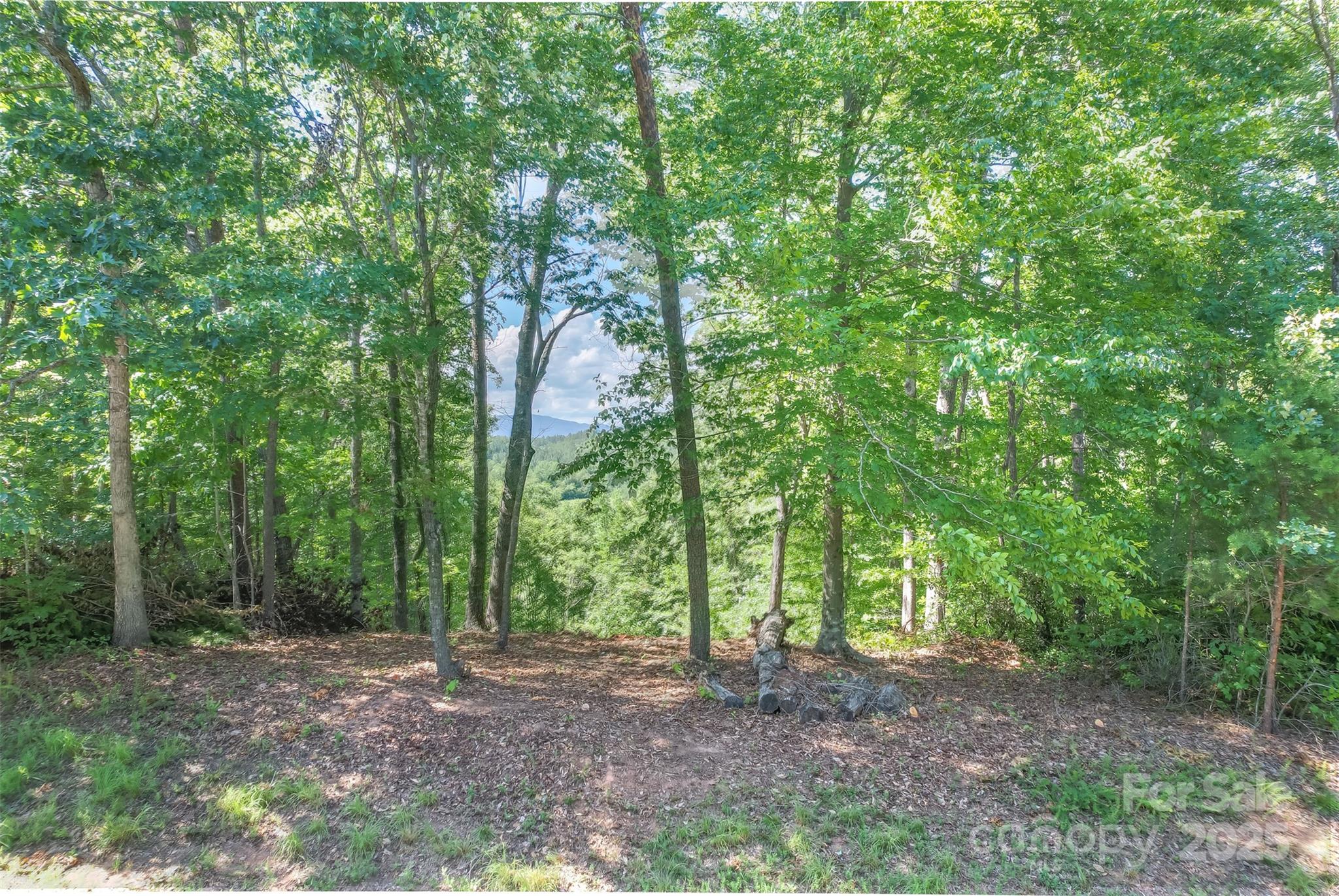 Lot 6 South Cross Creek Trail Mill Spring Mill Spring, NC 28756 - Photo 3 of 10 a view of a forest with trees