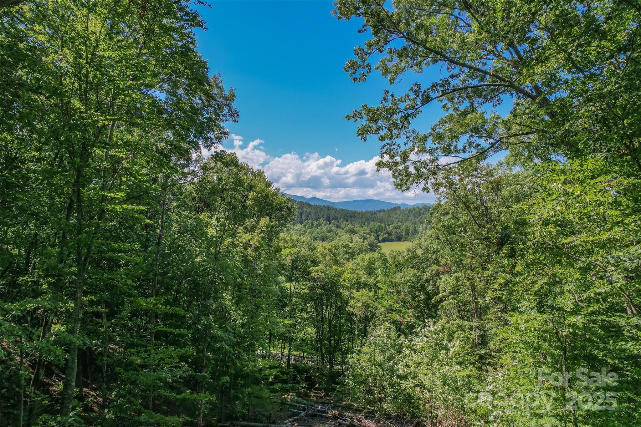 Lot 6 South Cross Creek Trail Mill Spring Mill Spring, NC 28756 - Photo 4 of 10 a view of a tree with a yard