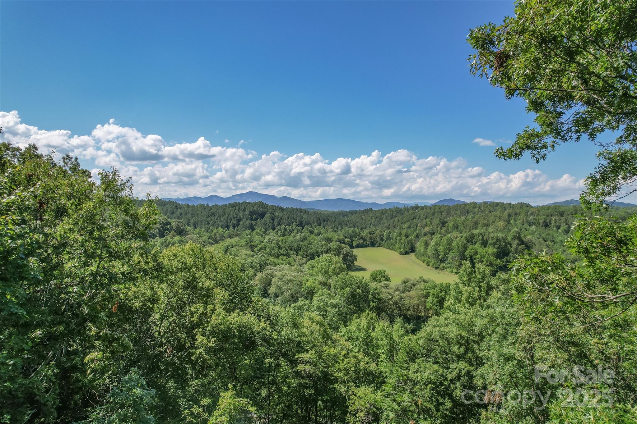 Lot 6 South Cross Creek Trail Mill Spring Mill Spring, NC 28756 - Photo 5 of 10 a view of a mountain in the distance in a field