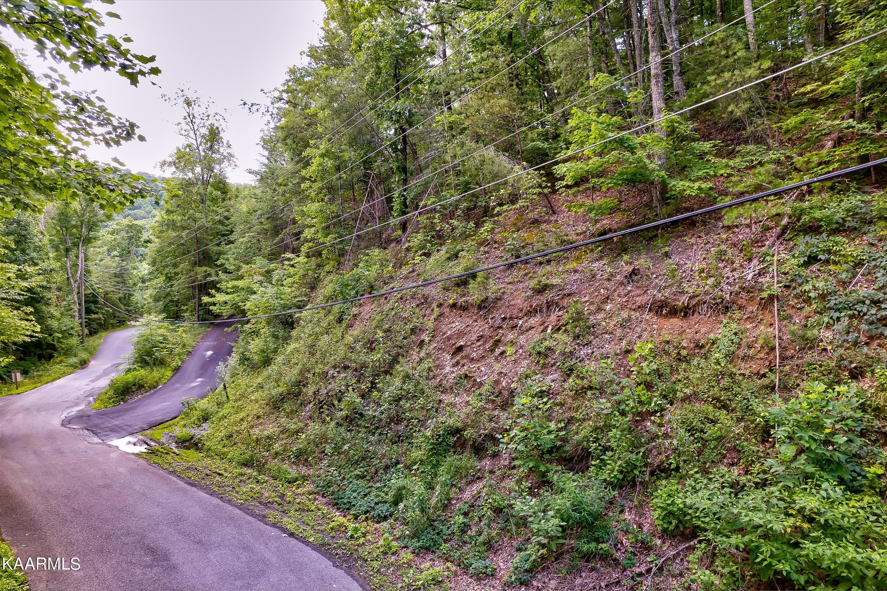 37-Millers Ridge Way Lot Tr31-37