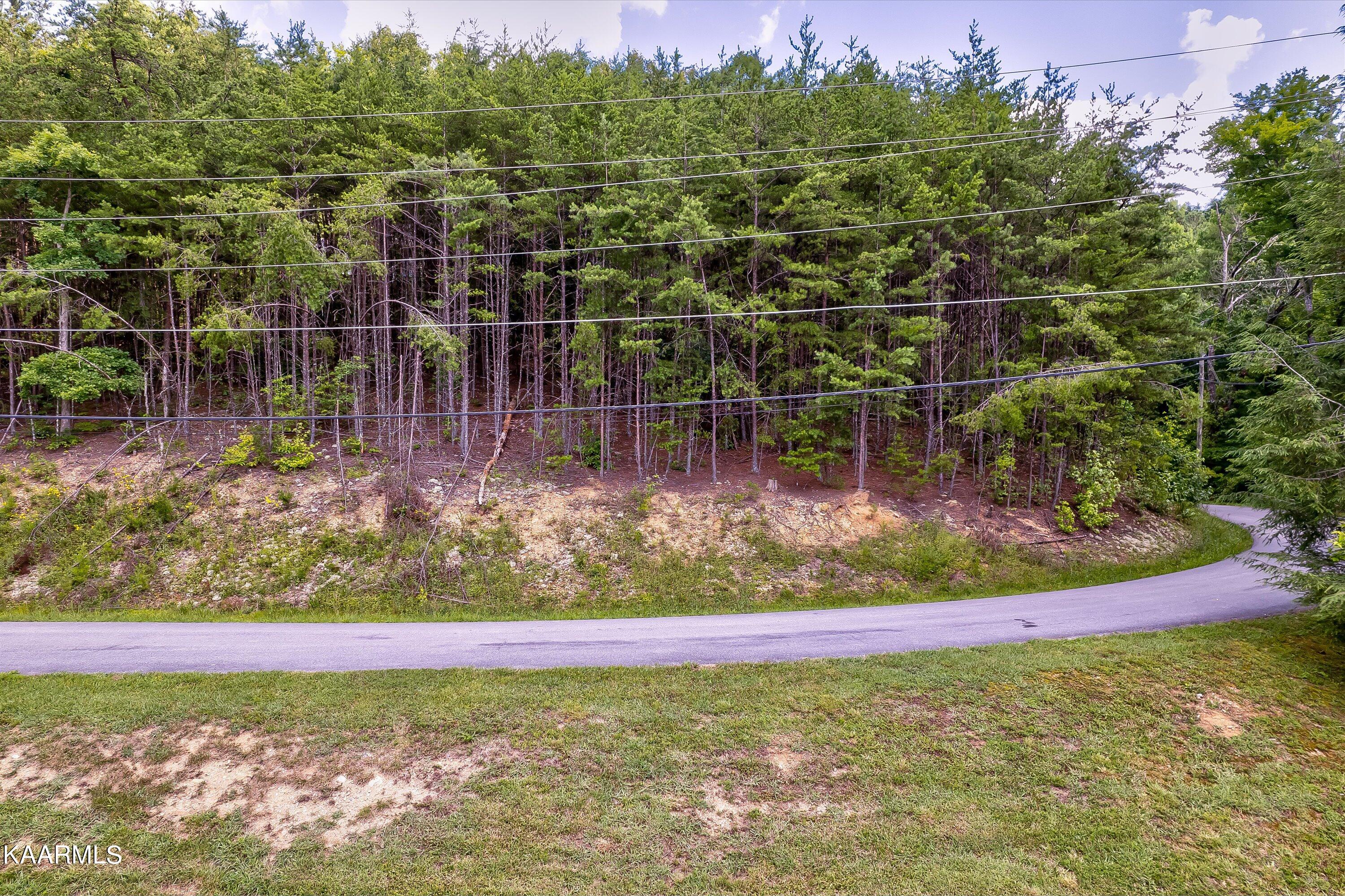 Lot Tr31 Millers Ridge Way Sevierville, TN 37862 - Photo 33 of 37 32-Millers Ridge Way Lot Tr31-32