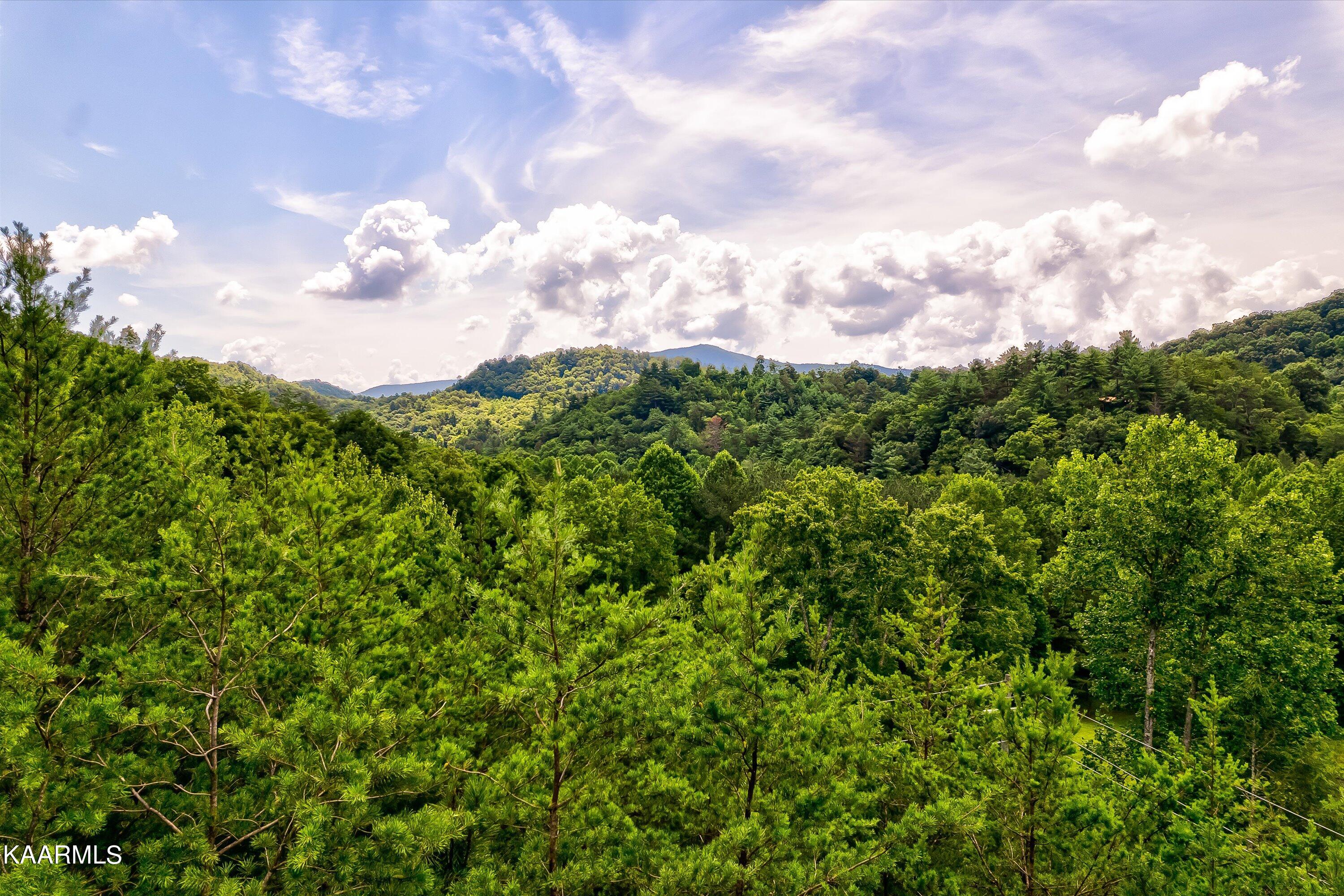 Lot Tr31 Millers Ridge Way Sevierville, TN 37862 - Photo 35 of 37 34-Millers Ridge Way Lot Tr31-34