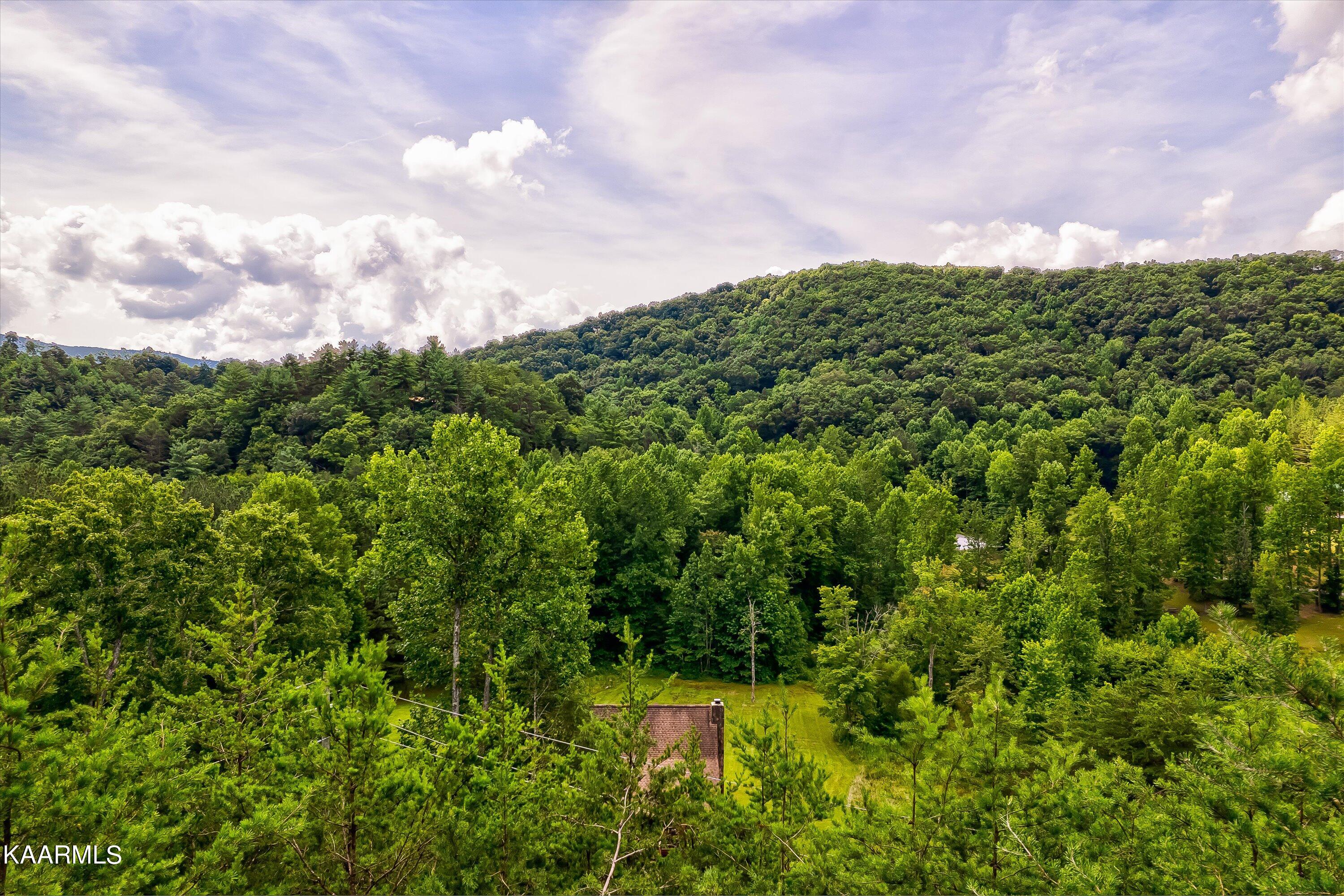 Lot Tr31 Millers Ridge Way Sevierville, TN 37862 - Photo 37 of 37 36-Millers Ridge Way Lot Tr31-36