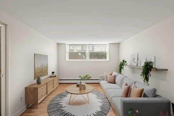 a living room with furniture and a potted plant