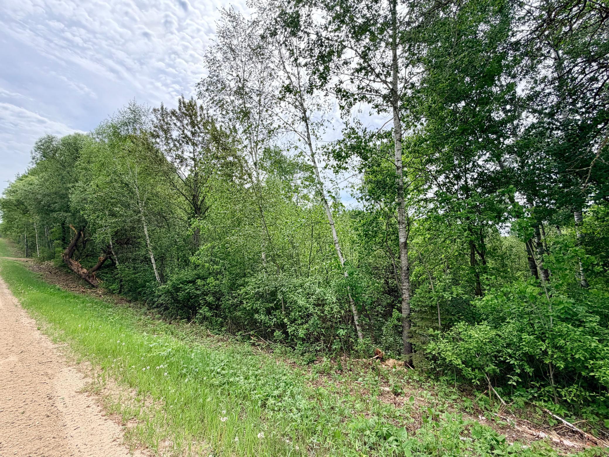 Tbd Half Moon Road Park Rapids, MN 56470 - Photo 10 of 12