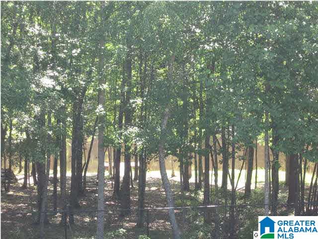 185 Shore Front Lane Wilsonville, AL 35186 - Photo 19 of 26
