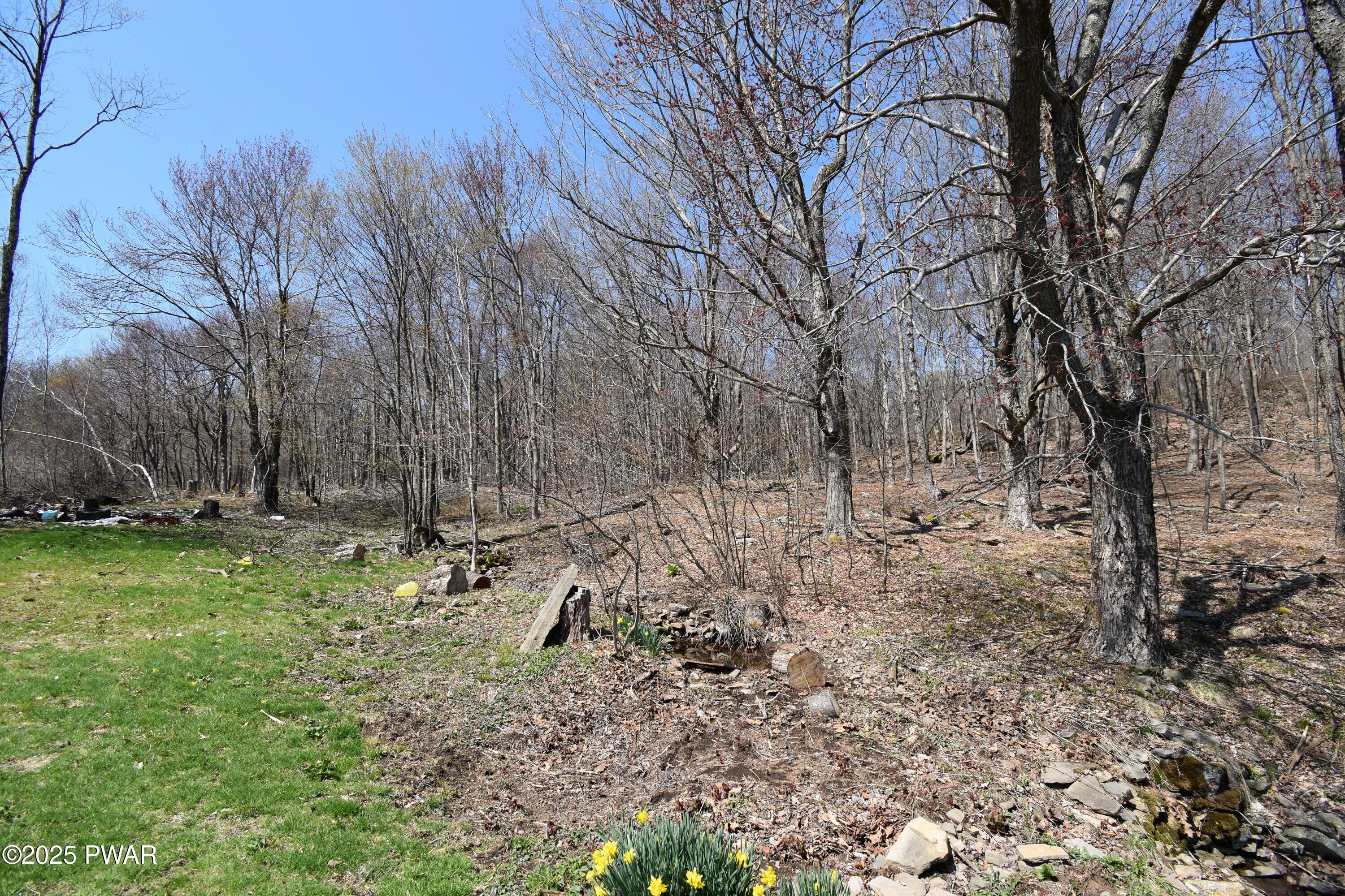 429 Flat Rock Road Forest City, PA 18421 - Photo 36 of 36