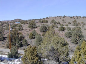2575 Cartwright Road Reno, NV 89521 - Photo 3 of 3 an aerial view of mountain with trees in the background