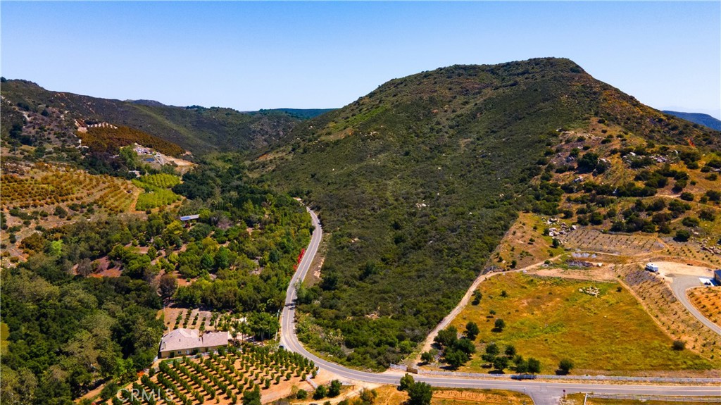 0 El Calamar Road Temecula, CA 92590 - Photo 5 of 7 a view of a large tree