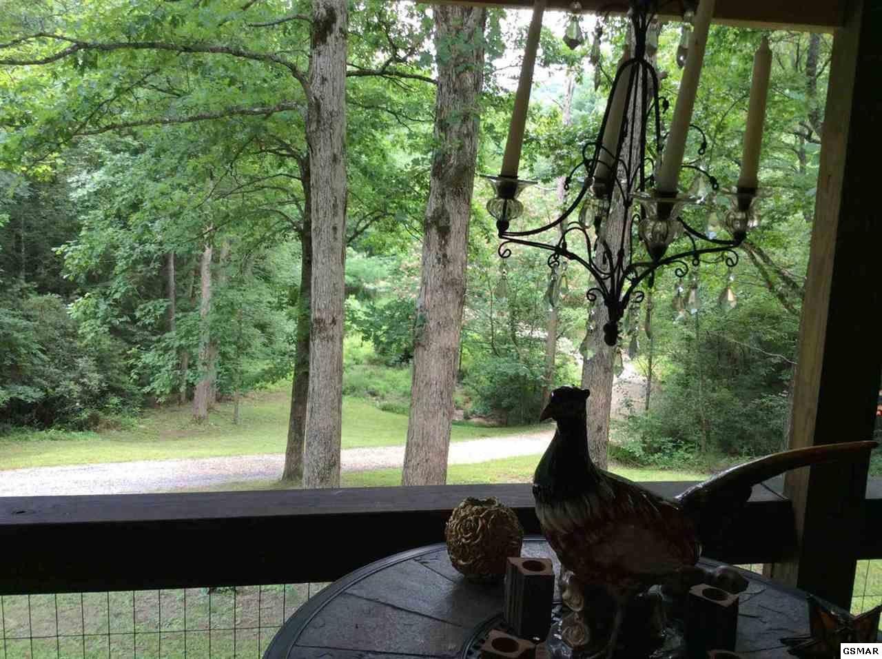200 Cove Hollow Road Cosby, TN 37722 - Photo 20 of 23 Gallery Image 20
