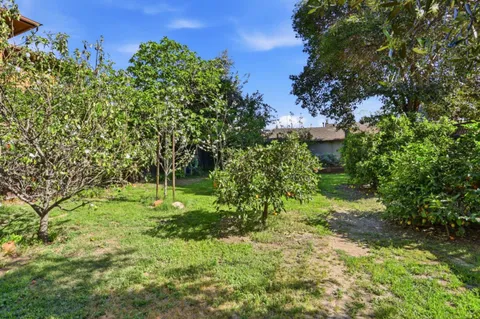 a view of a yard