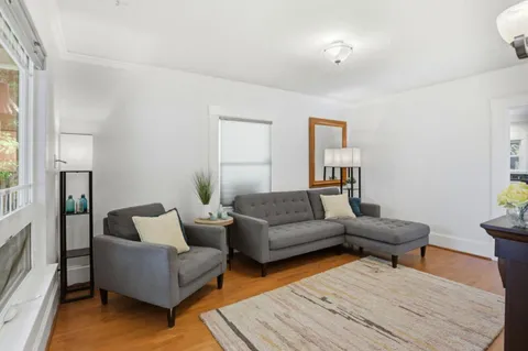 a living room with couches and a potted plant on a table