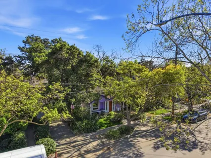 a view of a backyard with large trees