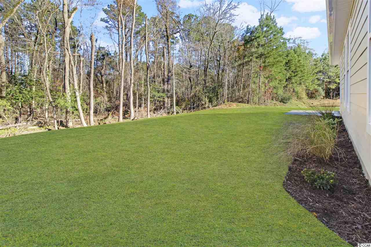 186 Rivers Edge Drive Conway, SC 29526 - Photo 31 of 36 Gallery Image 31