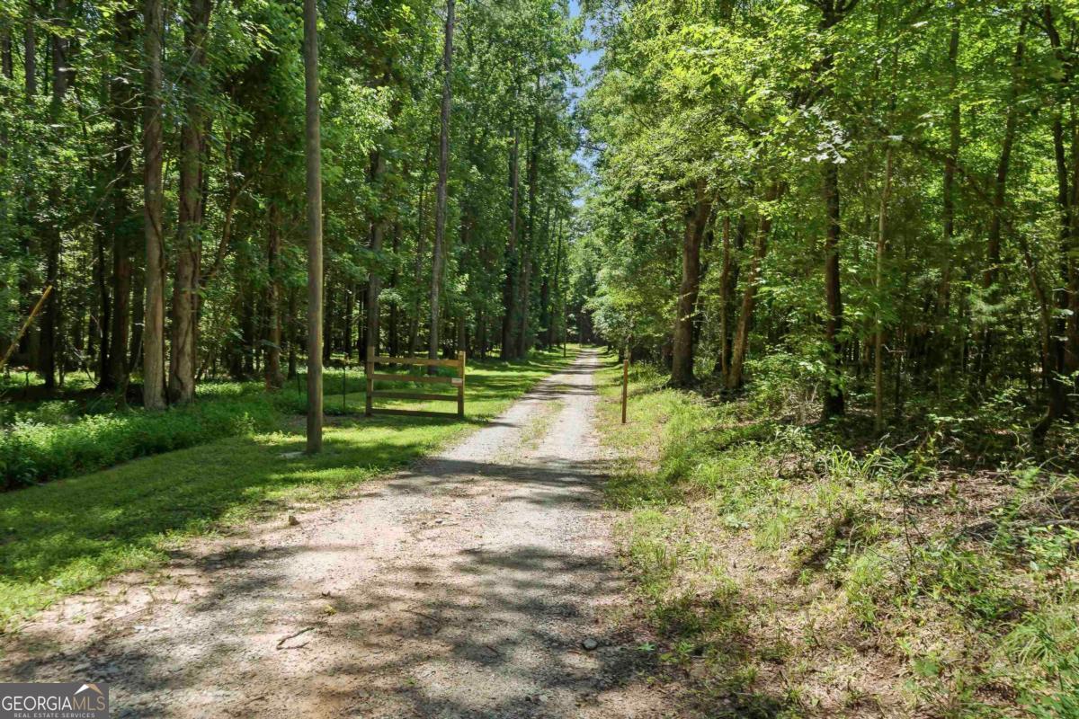 4271 Veazey Road Greensboro, GA 30642 - Photo 2 of 65
