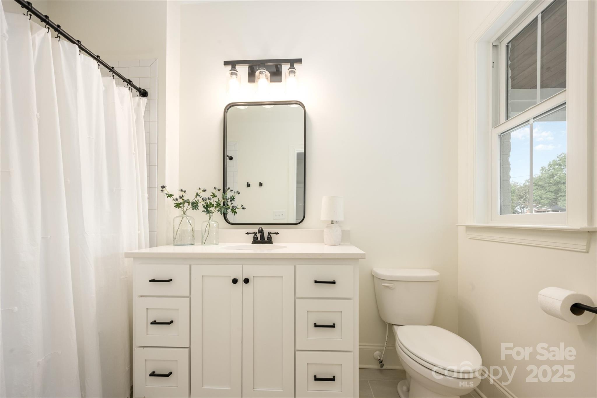 6322 Olive Branch Road Marshville, NC 28103 - Photo 14 of 28 a bathroom with a sink a toilet and a mirror