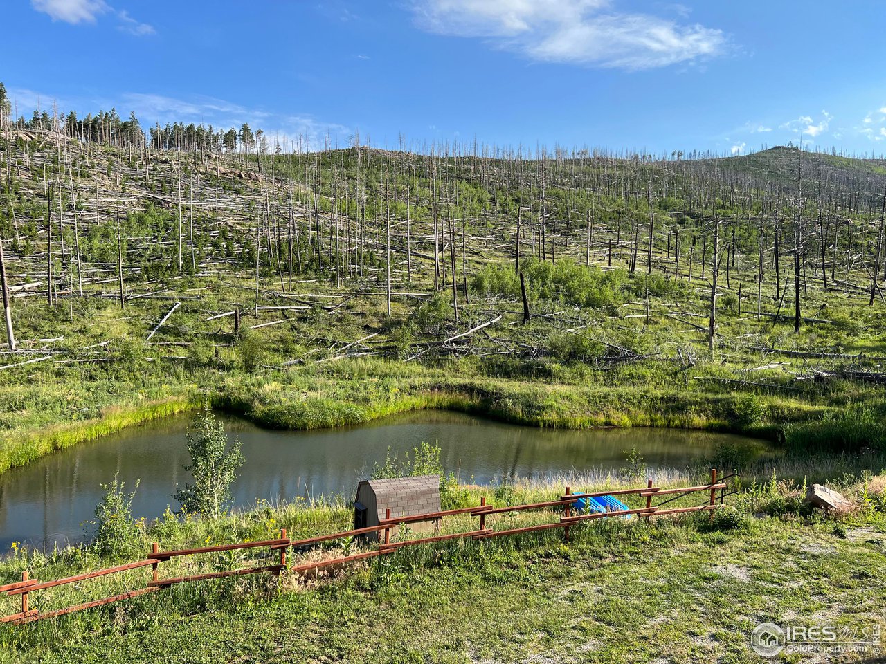 2880 Fire Rte 15 Bellvue, CO 80512 - Photo 11 of 40 pond and some of the burned area