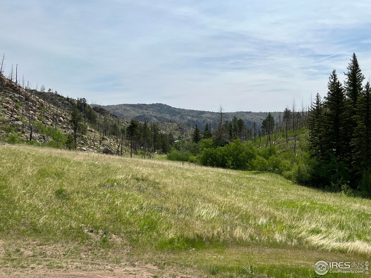 2880 Fire Rte 15 Bellvue, CO 80512 - Photo 12 of 40 view