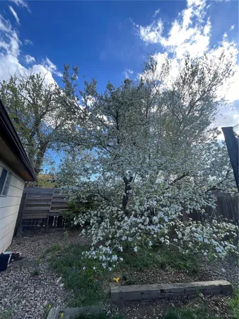 $2,750 | 10478 Pearl Way, Northglenn, CO 80233