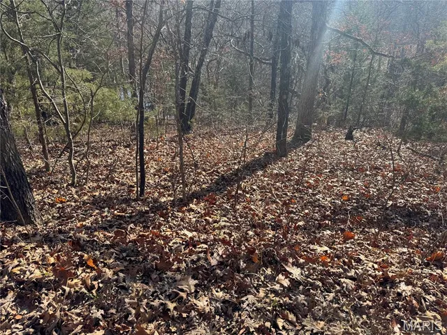 $30,000 | 251 Shepard Lane, Pacific, MO 63069