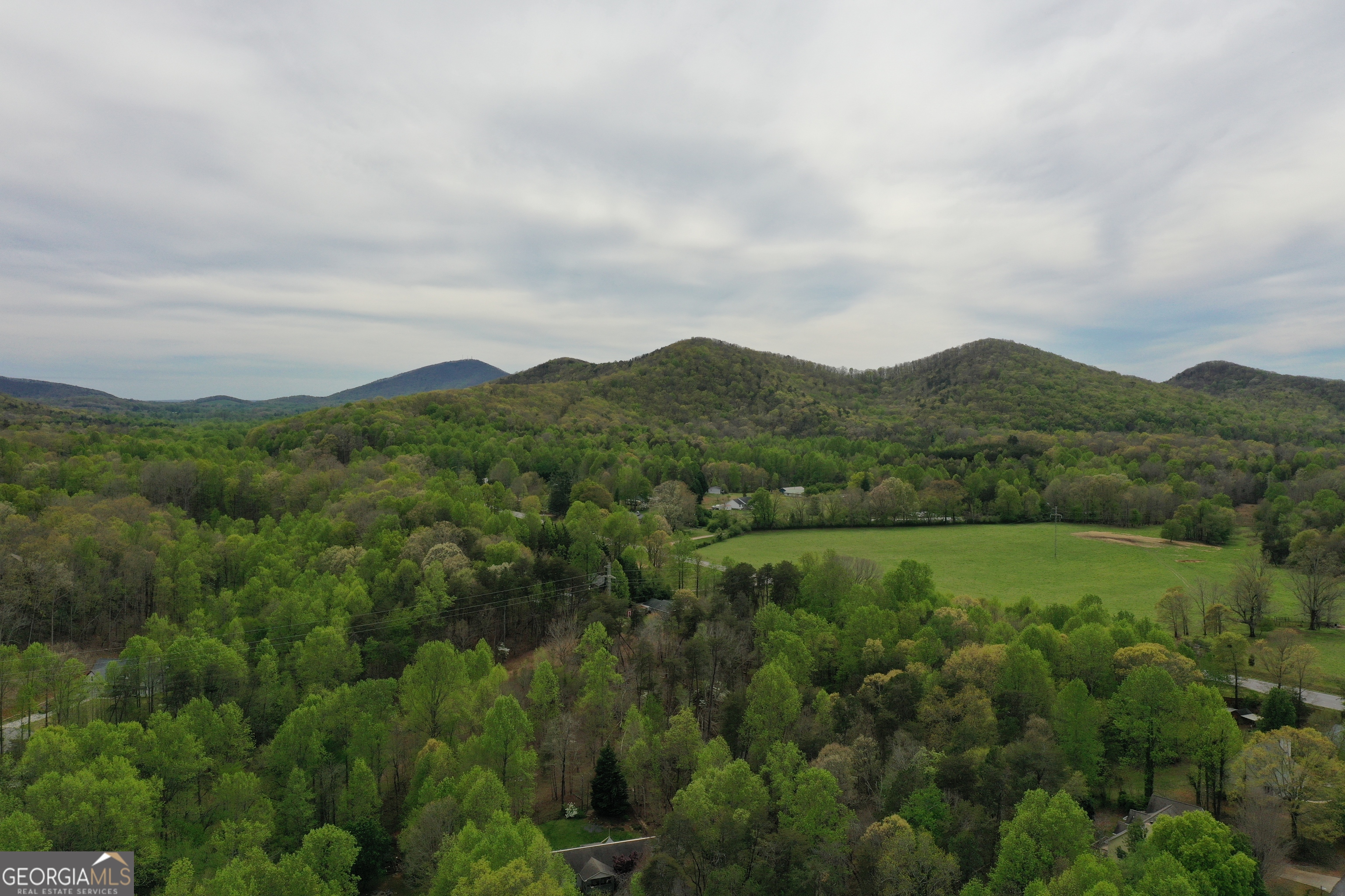 163 Turner Ridge Drive Cleveland, GA 30528 - Photo 43 of 44