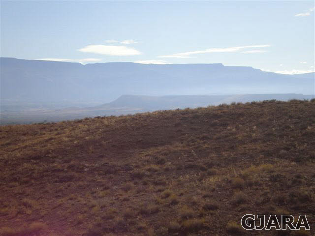 1121 Desert Road Whitewater, CO 81527 - Photo 13 of 22 Gallery Image 13