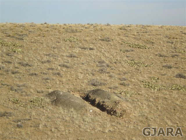 1121 Desert Road Whitewater, CO 81527 - Photo 14 of 22 Gallery Image 14