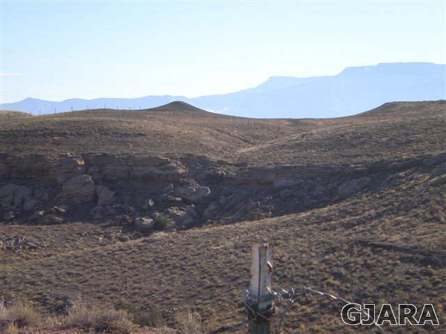 1121 Desert Road Whitewater, CO 81527 - Photo 16 of 22 Gallery Image 16