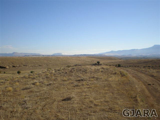 1121 Desert Road Whitewater, CO 81527 - Photo 20 of 22 Gallery Image 20