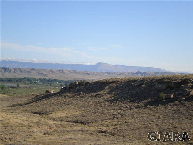 1121 Desert Road Whitewater, CO 81527 - Photo 10 of 22 Gallery Image 10