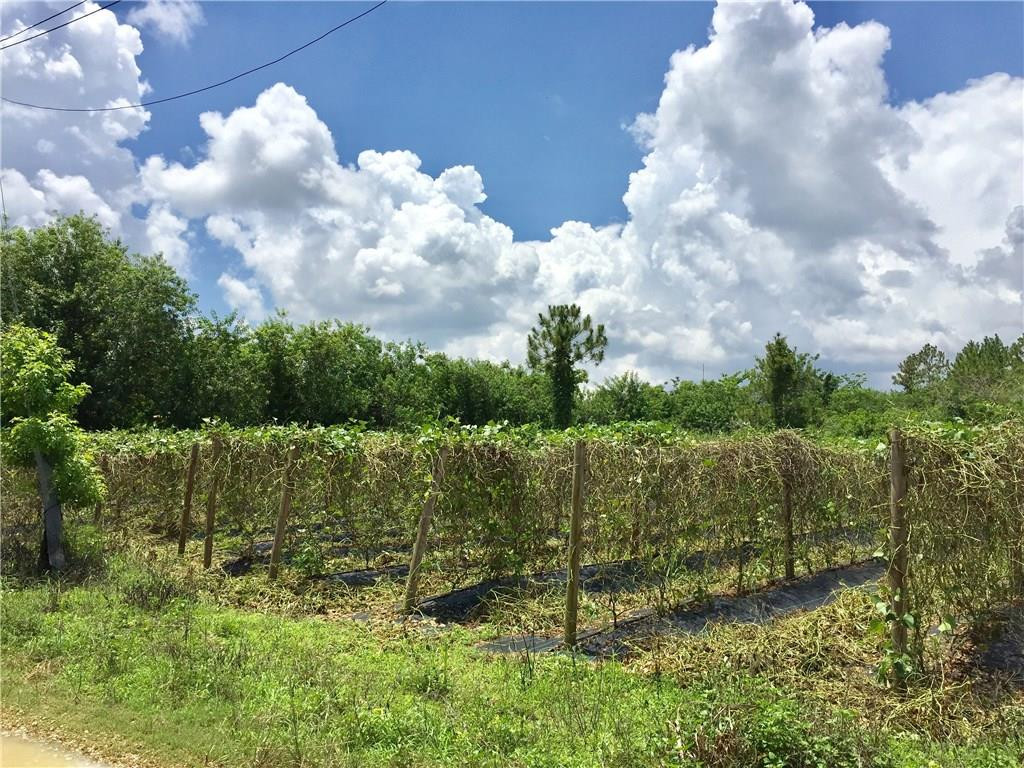 332 Southwest St Homestead Street Homestead, FL 33034 - Photo 1 of 1 Photo 1
