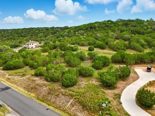 a view of a lush green forest with lots of trees