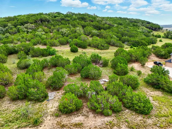 a view of a garden
