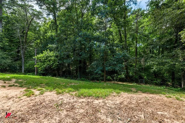 a view of a yard with plants and large trees