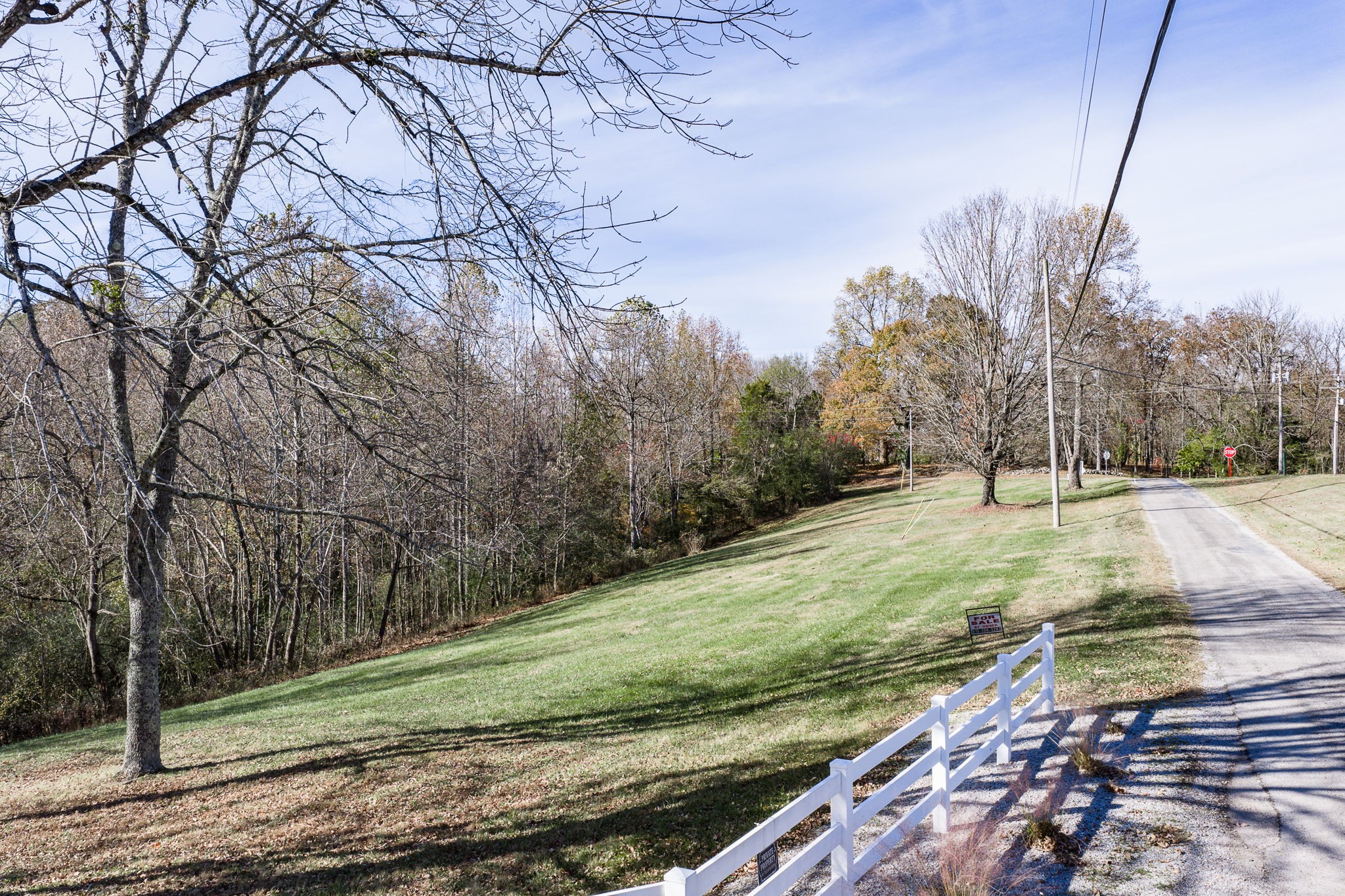 0 Austin Ridge Road Baxter, TN 38544 - Photo 12 of 20 a view of a yard with large trees