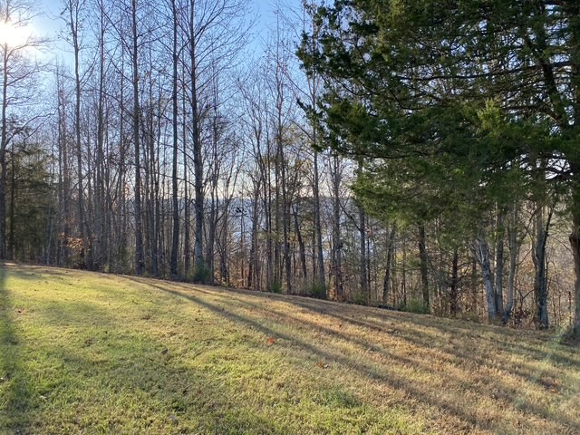 0 Austin Ridge Road Baxter, TN 38544 - Photo 14 of 20 a view of a yard with trees