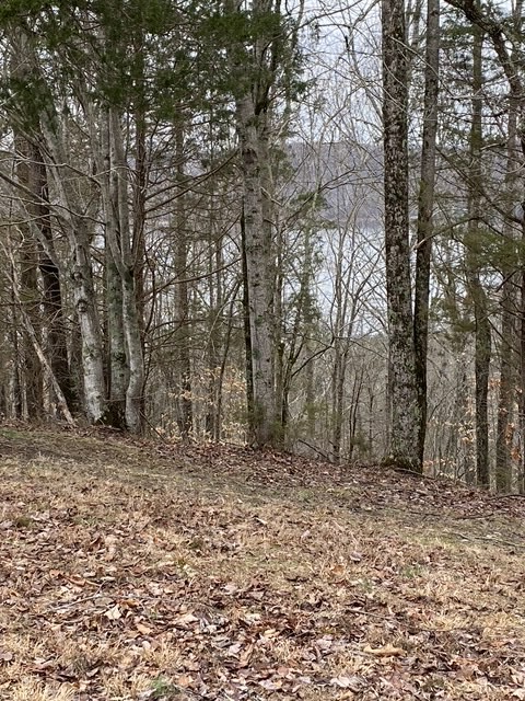 0 Austin Ridge Road Baxter, TN 38544 - Photo 15 of 20 a backyard of a house with lots of trees