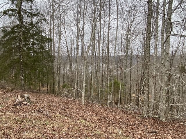 0 Austin Ridge Road Baxter, TN 38544 - Photo 18 of 20 a view of outdoor space with green space