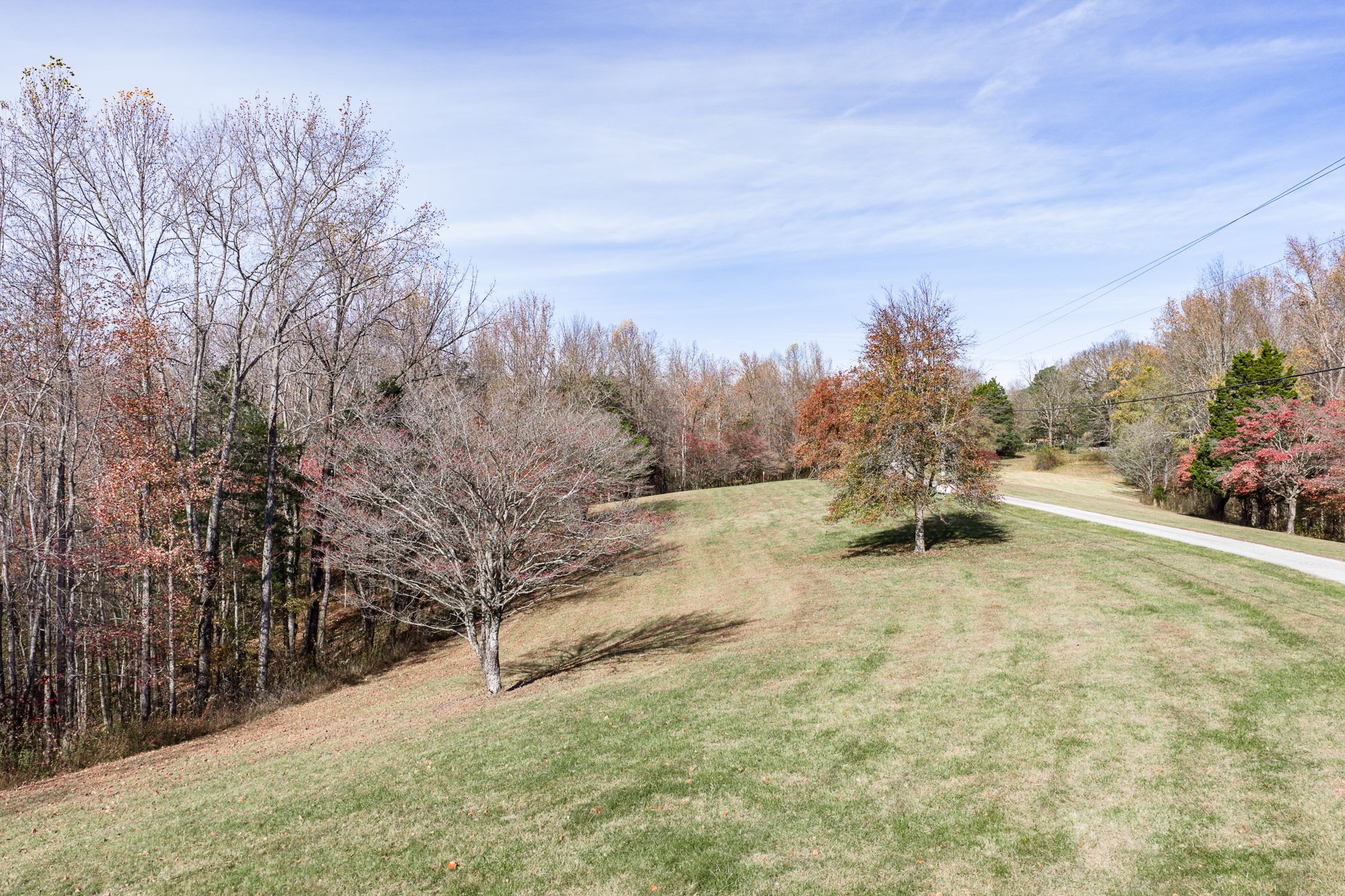 0 Austin Ridge Road Baxter, TN 38544 - Photo 4 of 20 a view of a yard with trees in the background